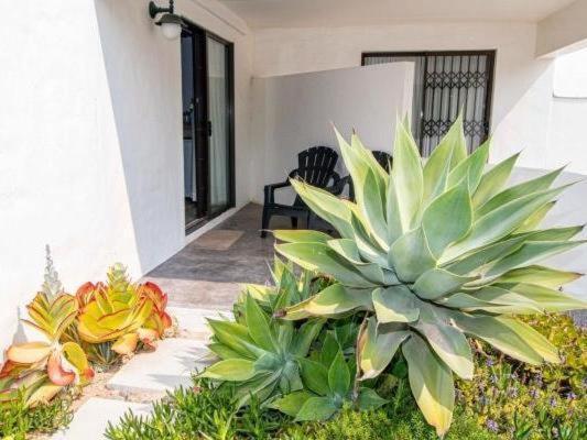 Paternoster Roosmarijn Rooms - Inverter Exterior photo